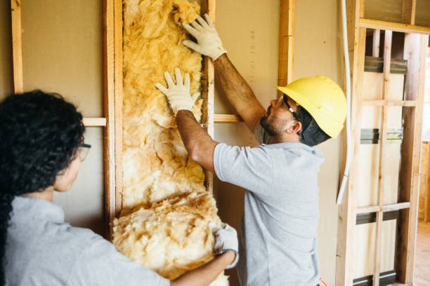 Types of Insulation We Offer in Roosevelt, NY